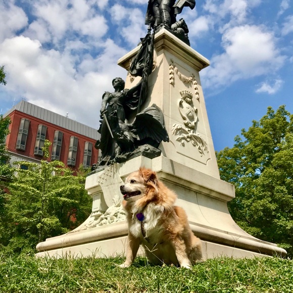 Meet your Posher, Coco - Picture 3 of 8