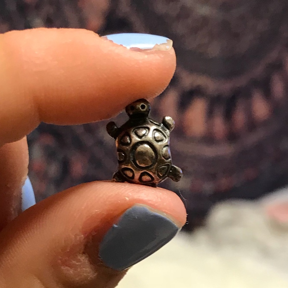 Turtle Pandora Charm