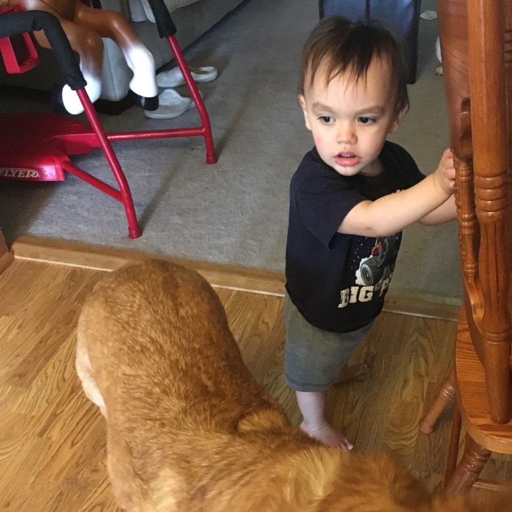 Meet your Posher, Laura