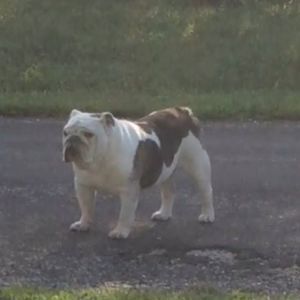 Meet your Posher, Mariana