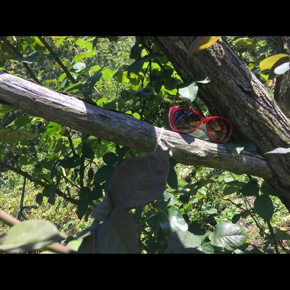 BVLGARI: Eve and the Snake