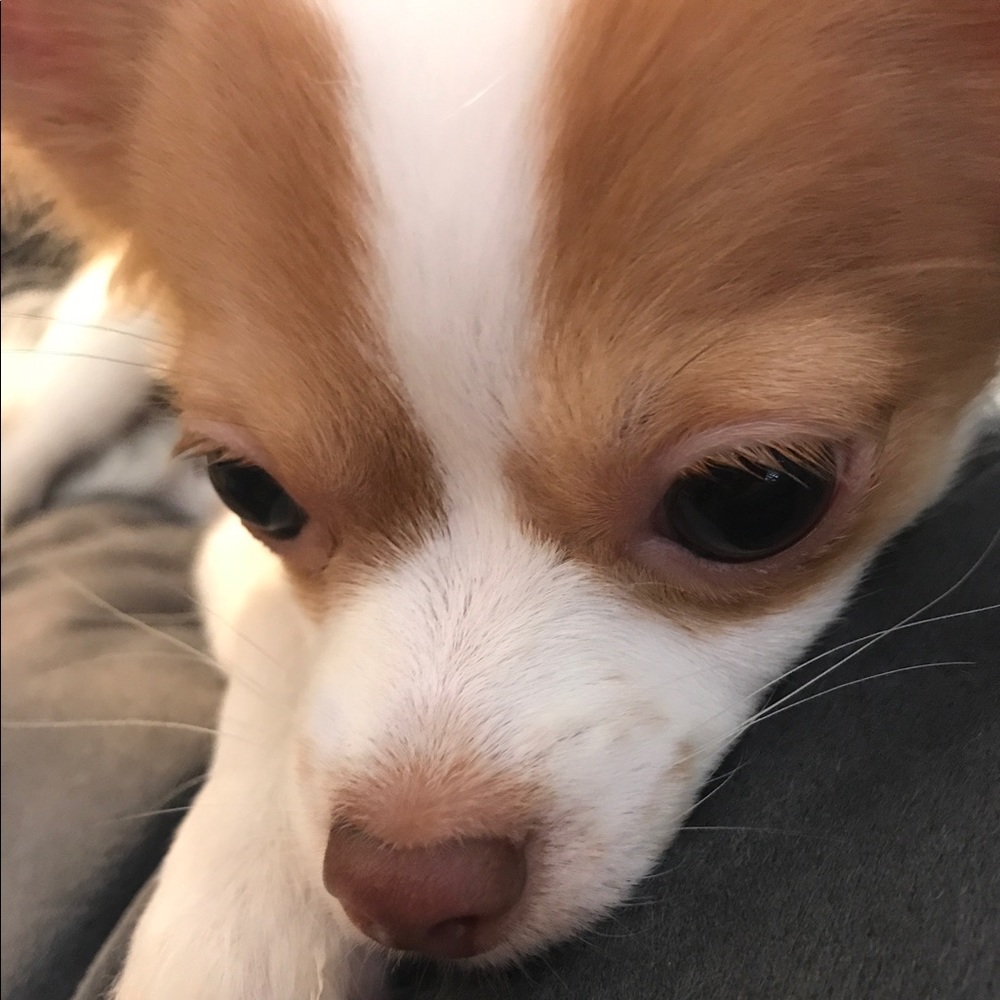 Meet your Posher, Hye