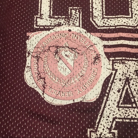 Alpha Phi Pinnie - Picture 3 of 5