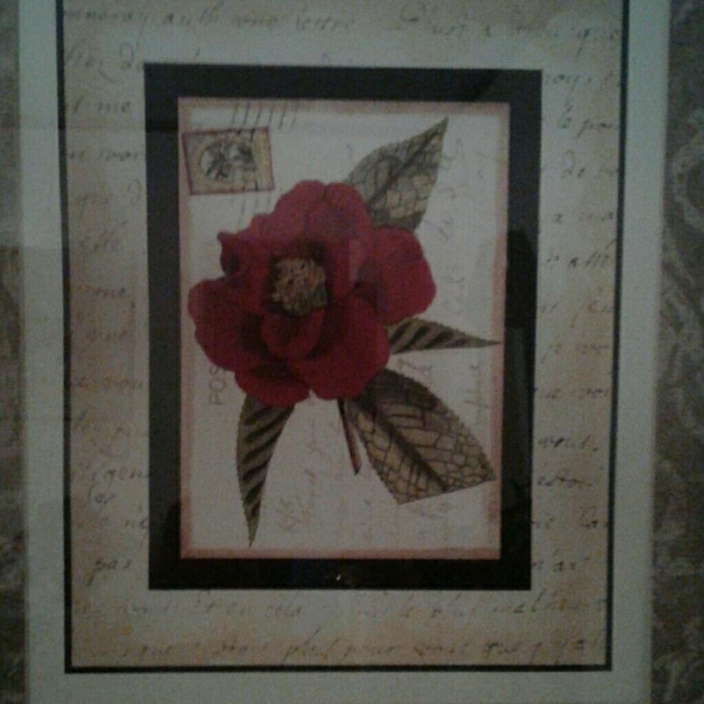 Meet your Posher, Griselda