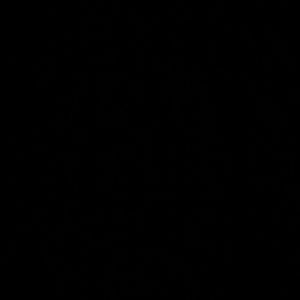 Meet your Posher, Landon