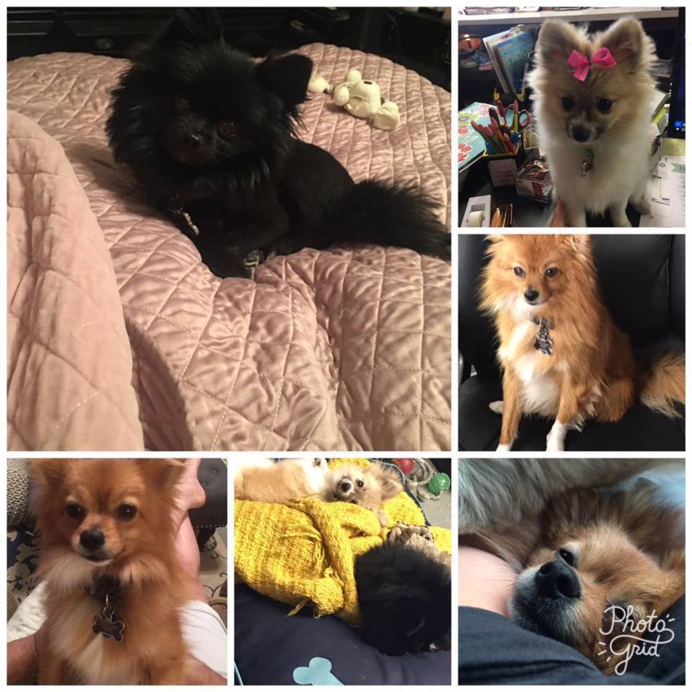 Meet your Posher, Kristina