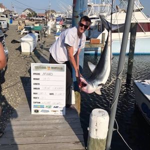 Meet your Posher, Stevo