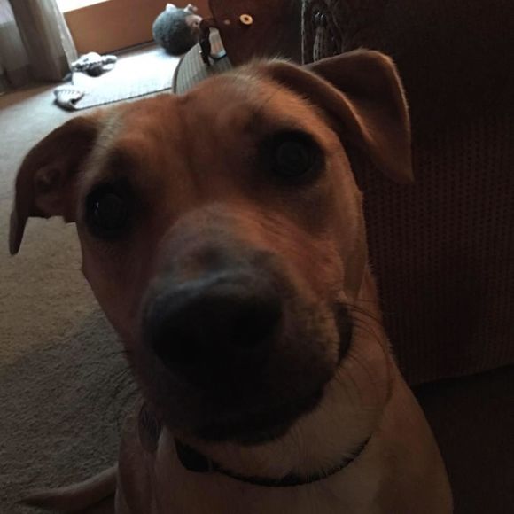 Meet your Posher, Kristen - Picture 1 of 1