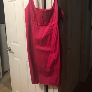 Calvin Klein Dress