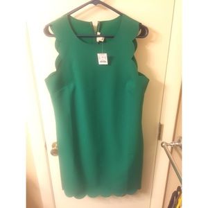 JCrew Scallop Dress