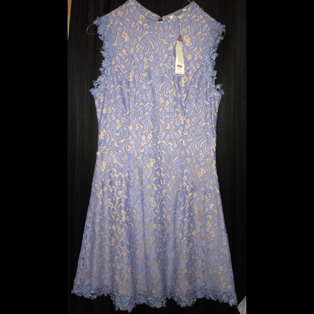 Francesca’s blue and nude dress