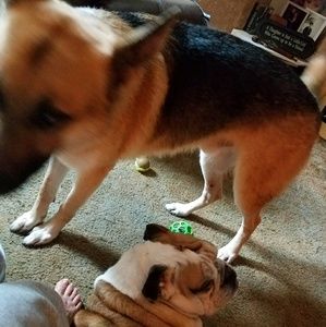 Meet your Posher, Candy