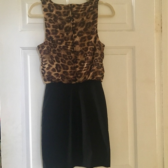 Cheetah print dress with embellished collar - Picture 5 of 6