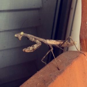 Meet your Posher, Charles