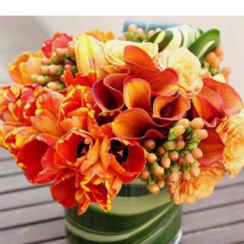 Meet your Posher, Tarsha