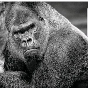 Meet your Posher, Miguel