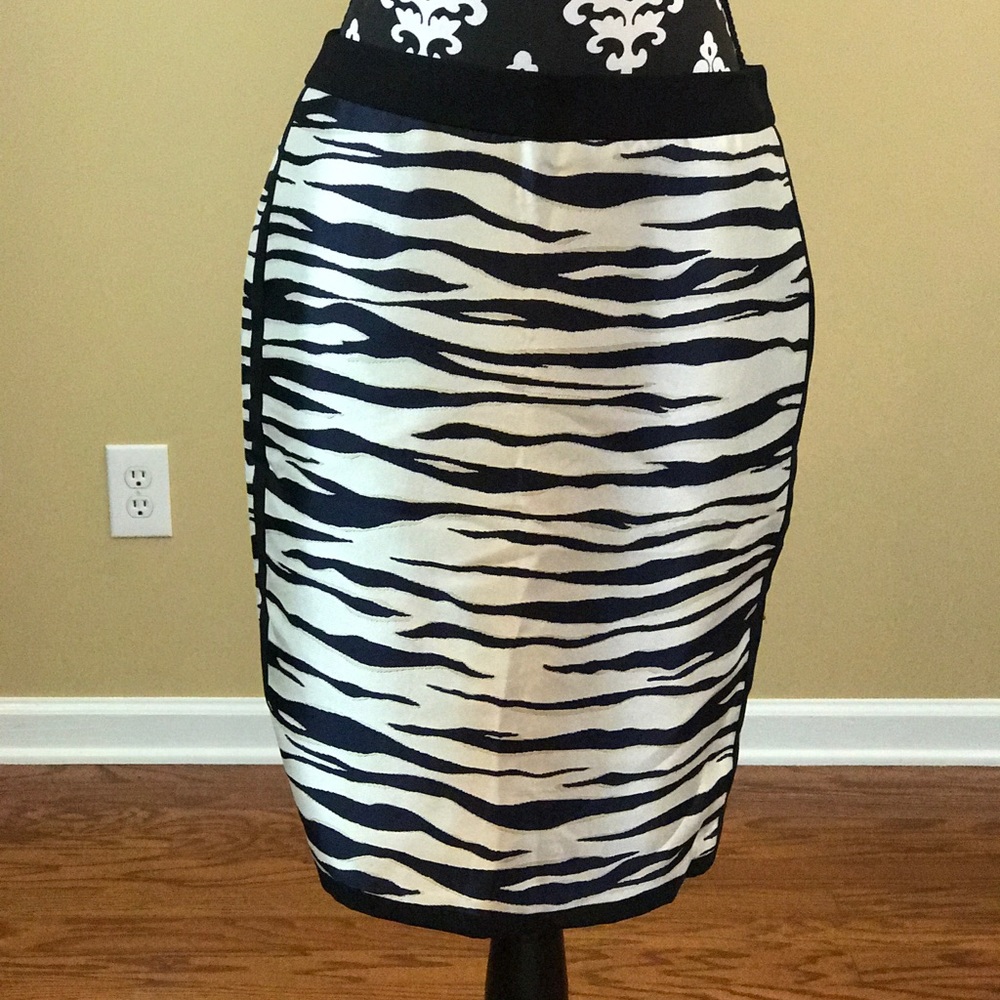 Ann Taylor Zebra Print Skirt