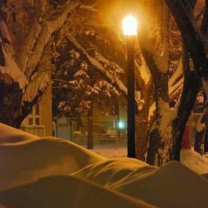 Meet your Posher, Alfred