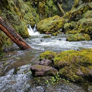 Meet your Posher, Angalee