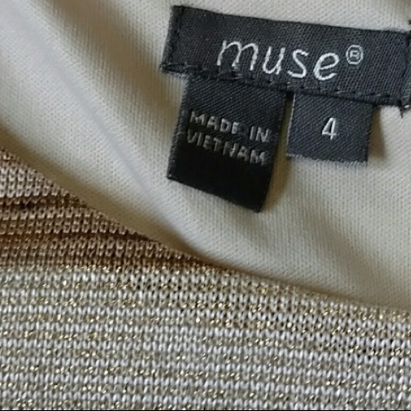 Muse - Brown, gold and tan striped dress with belt - Picture 5 of 6