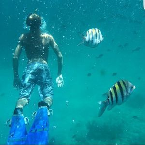 Meet your Posher, Blake