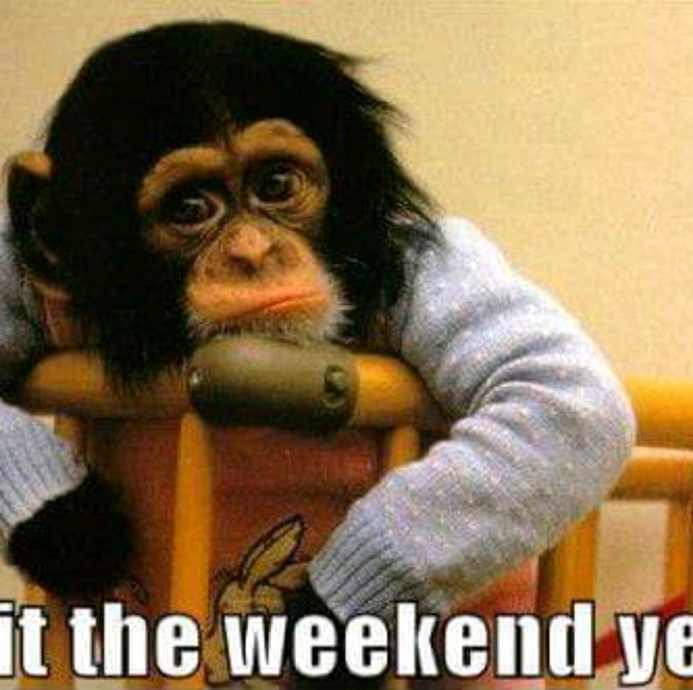 Meet your Posher, Sindreka