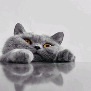 Meet your Posher, Ruth