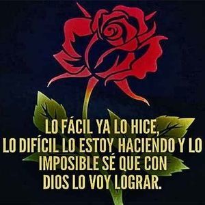 Meet your Posher, Sonia