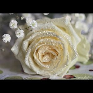 Meet your Posher, Mary grace