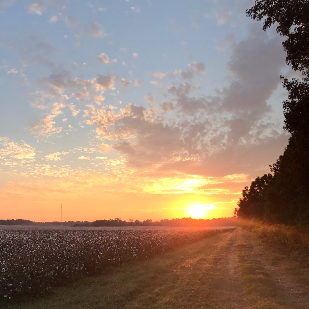 Meet your Posher, Blondie