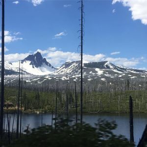 Meet your Posher, Maite