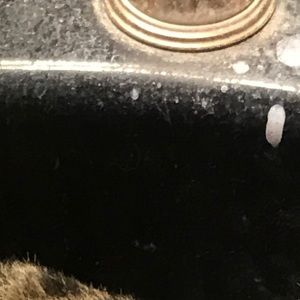 Meet your Posher, Blake