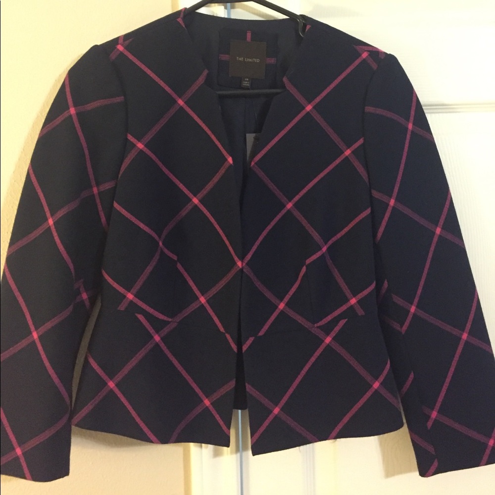 Classy Navy and Pink Blazer by The Limited - XS