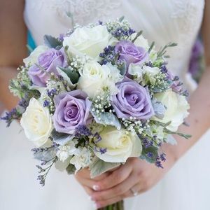 Meet your Posher, Liza