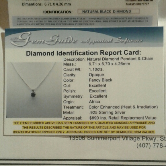 💎SALE💎NWT/COA Natural Blk Diamond Solid925 16"Nk - Picture 8 of 8