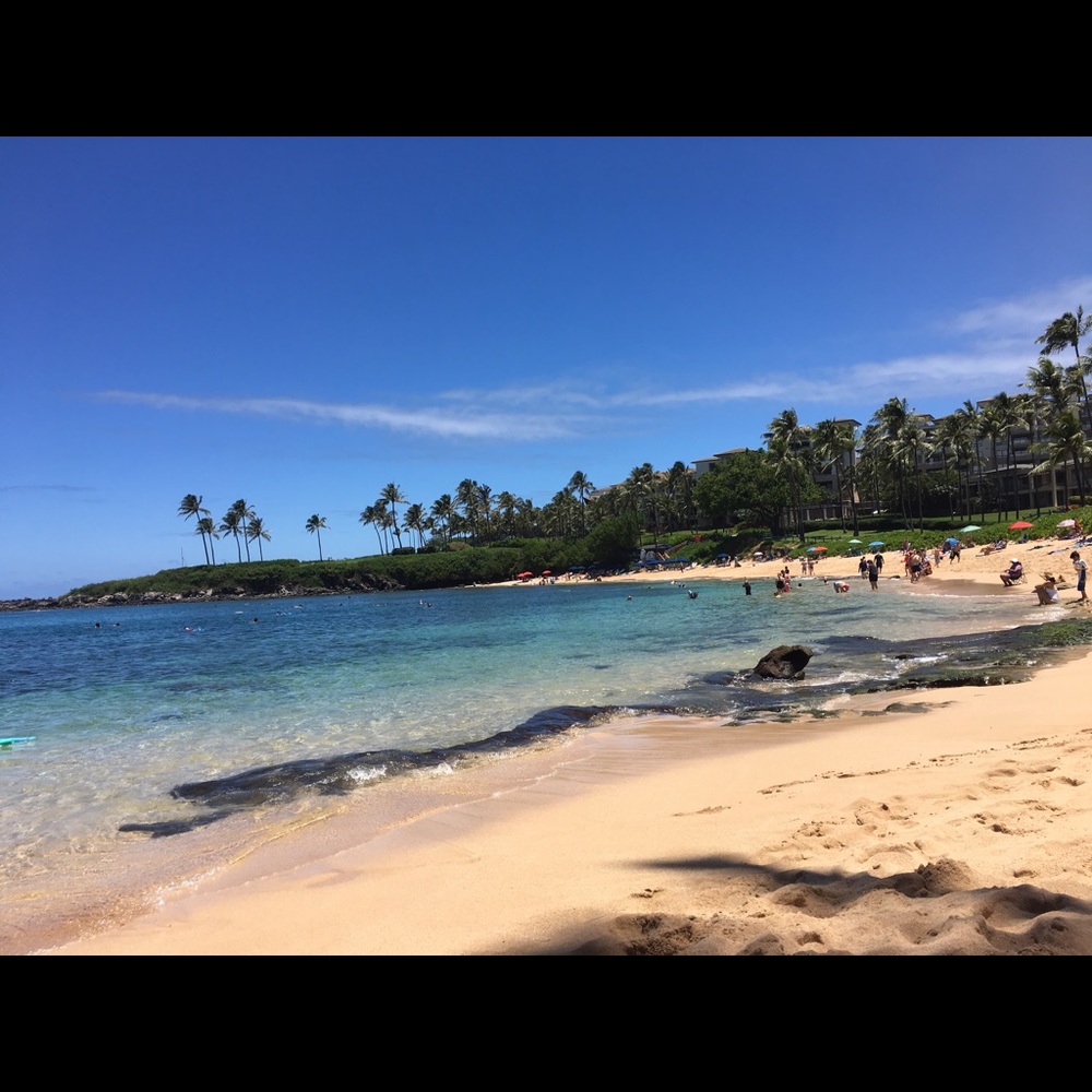 Meet your Posher, Margie