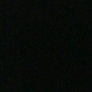 Meet your Posher, Ladamian