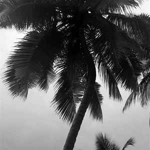 Meet your Posher, Joely