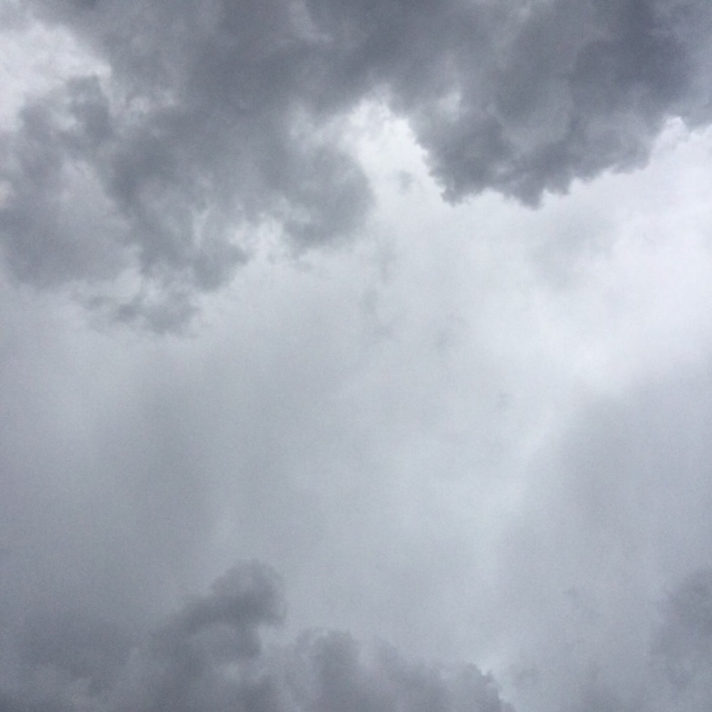 Meet your Posher, Kat