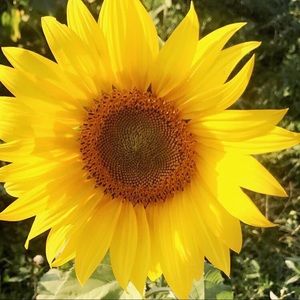 Meet your Posher, Valerie