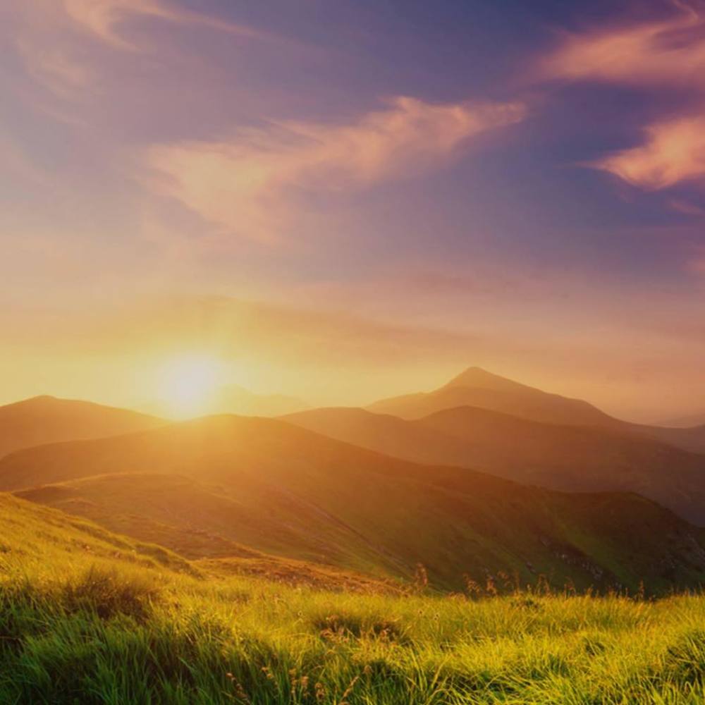 Meet your Posher, Lydia