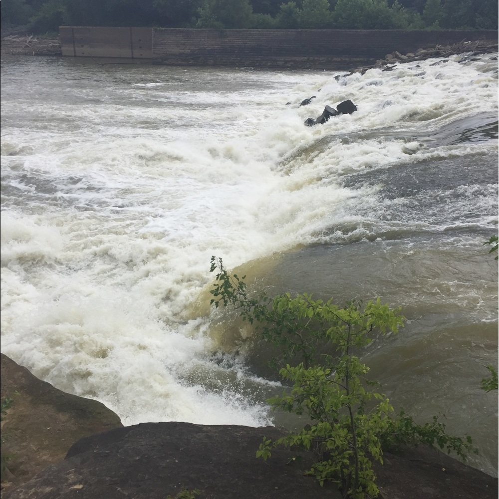 Meet your Posher, Shelby