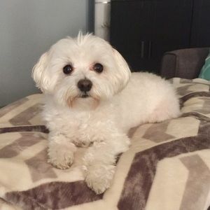 Meet your Posher, Jeanne