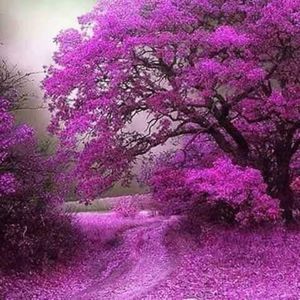 Meet your Posher, La