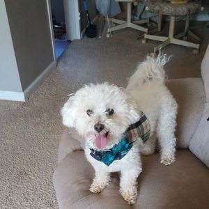 Meet your Posher, Debbie