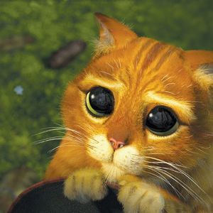 Meet your Posher, Ambrose