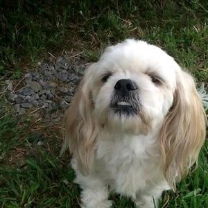 Meet your Posher, Ann