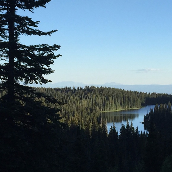 Meet your Posher, Michelle - Picture 2 of 2