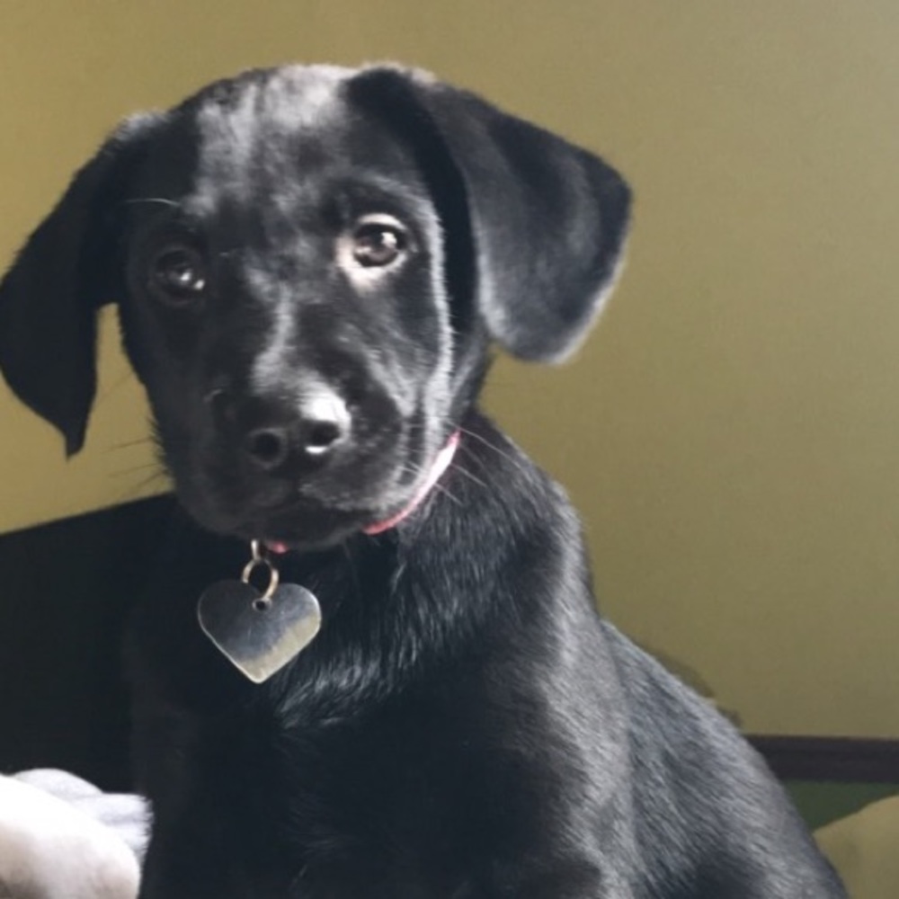 Meet your Posher, Christy