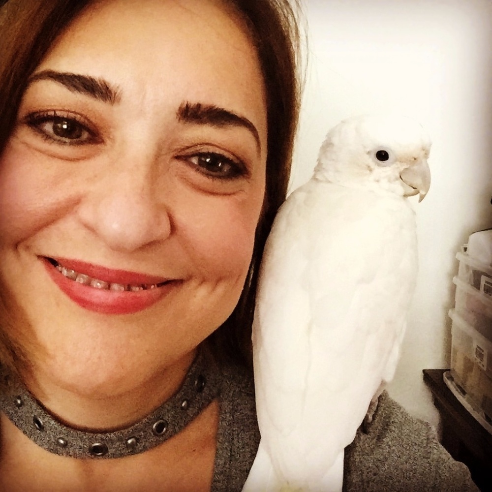 Meet your Posher, Mabel